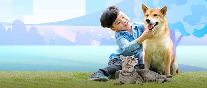 BDO Insure offers protection for pet dogs and cats